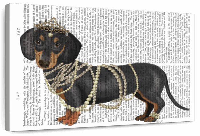 Dachshund And Pearls II Wall Art