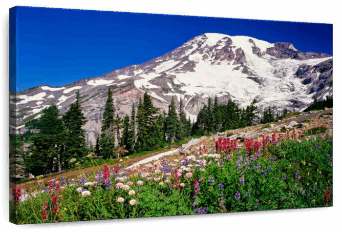 Summer Wildflowers Bloom In Paradise Park Wall Art
